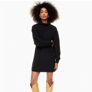 Aritzia Montpellier Dress